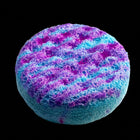 Blumenmaedchen SHOWER SOAP Cosmic Drift