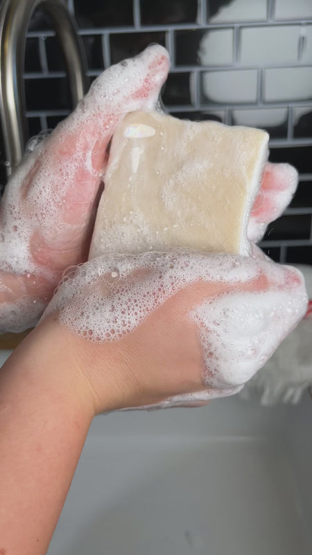 Schafmilch Schneerose