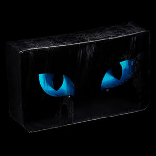 Cat Blue Eyes