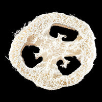 Luffa Schwamm Natur (3 Stück)