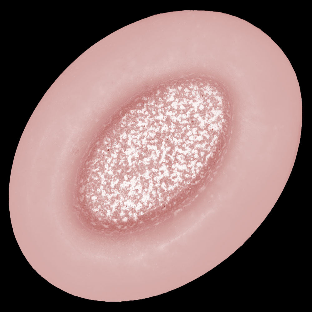 Blumenmaedchen CONDITIONER BAR ROSE ARGANÖL