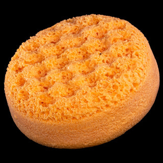 Squeeze The Day